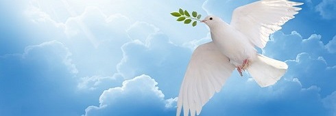 Peace Image Dove